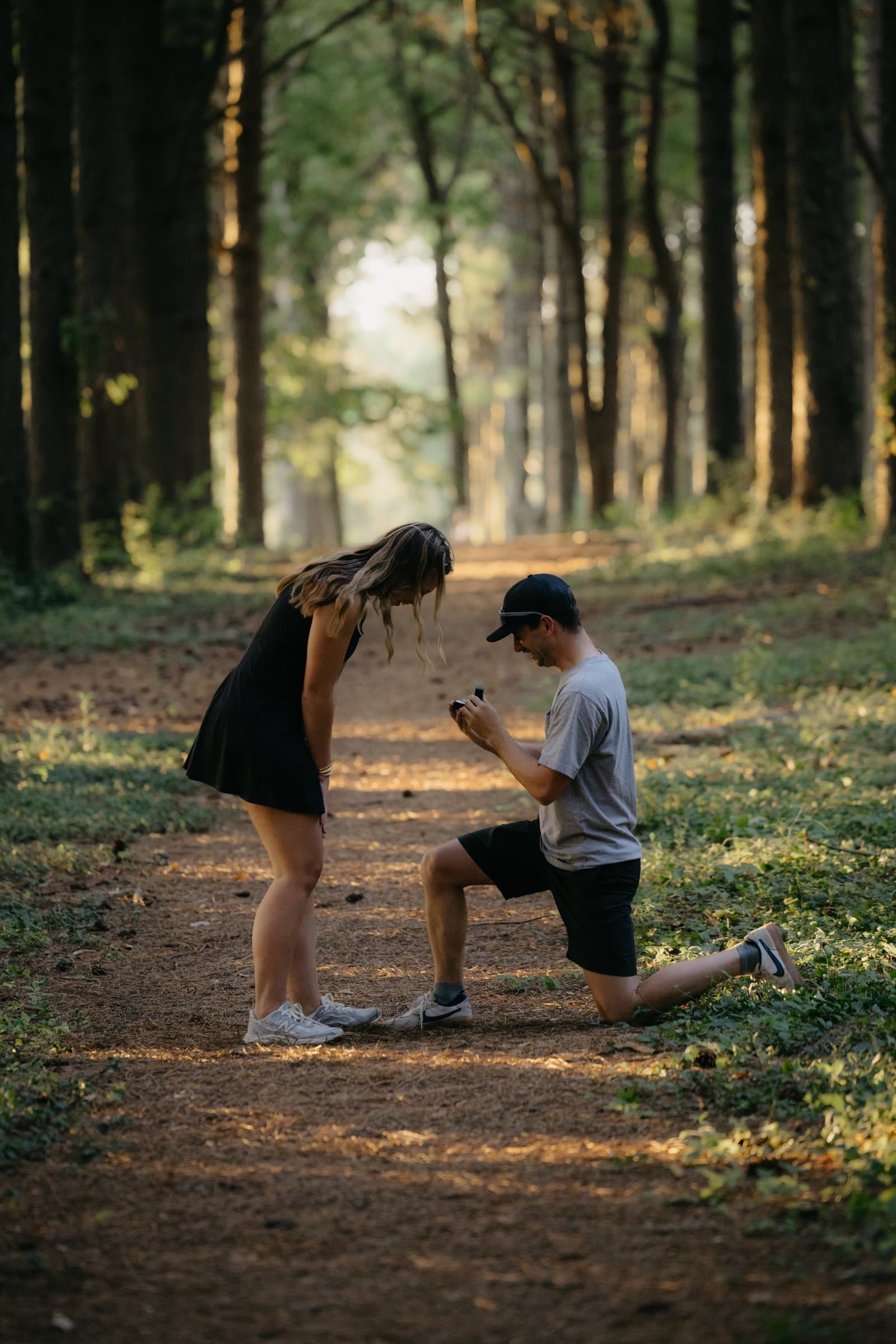 A proposal in a pine forest, late light through the trees